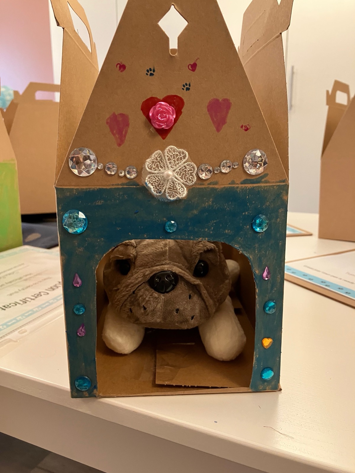 Pet Adoption Experience